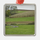 Search for amish christmas tree decorations Horse
