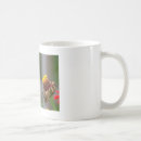 Search for white hummingbird mugs Nature