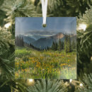 Search for rocky mountaineer christmas tree decorations Wildflower