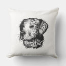 Search for animal fur cushions Dog