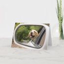 Search for mirrored cards Dog
