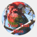 Search for macaw parrot stickers Pet