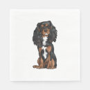 Search for black and tan cavalier king charles spaniel Puppy