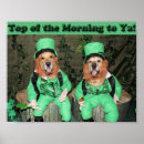 Search for irish leprechaun posters Shamrock