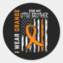Search for little brother stickers Awareness