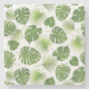 Search for rainforest coasters Palm