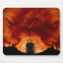 Search for chow chows electronics Black