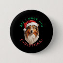 Search for sheepdog badges Shetland