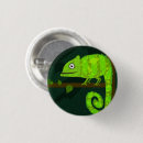 Search for chameleon badges Green