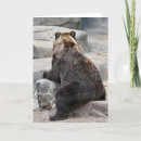 Search for grizzly bear cards Wildlife