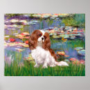 Search for blenheim posters Cavalier king charles spaniel