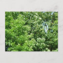 Search for breeze postcards Leaves