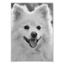 Search for spitz art Animal