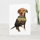Search for walking photography Dog walker