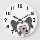Search for chinese clocks Pets