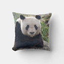 Search for giant panda cushions Cute