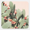 Search for prickly stickers Botanical