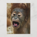 Search for unique baby postcards Sweet