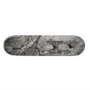 Search for winter skateboards Snow