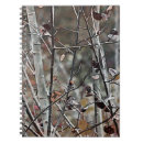 Search for aspen notebooks Fall