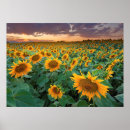 Search for crops art Landscape