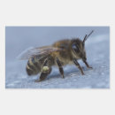 Search for beekeeper rectangle stickers Beekeeping