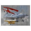 Search for airplane cookware Flying