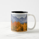 Search for aspen tree mugs Environment
