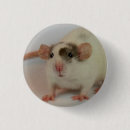 Search for minks Cute