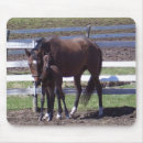 Search for awesome mousepads Horse