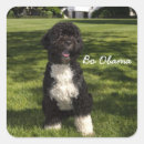 Search for obama stickers United states