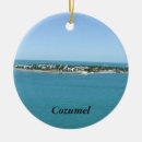 Search for cozumel christmas tree decorations Tropical
