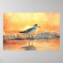Search for plover posters Beach