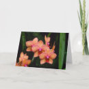 Search for phalaenopsis cards Tropical