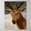 Search for stag head art Animal