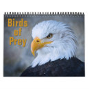 Search for birds of prey calendars Eagle