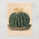 Search for 1841 Vintage