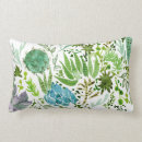 Search for succulent cushions Plants