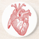 Search for vintage anatomy coasters Anatomical