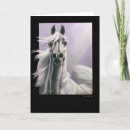 Search for white stallion cards Wild