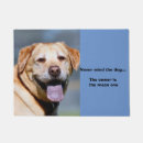Search for labrador dog garden decor Cute