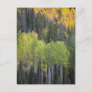 Search for provo postcards Aspen