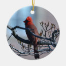 Search for cardinal photo christmas tree decorations Red