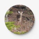 Search for photography plates Nature