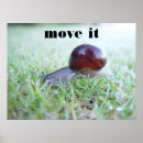 Search for mollusk art Snail