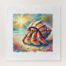 Search for hermit crab Sea