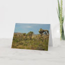 Search for tree landscape cards Outdoors