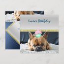 Search for french bulldog birthday invitations Pet