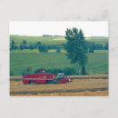 Search for combination postcards Wheat
