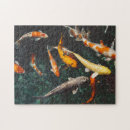 Search for fish pond puzzles Asian